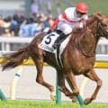 【宝塚記念】意外にも未勝利 社台ファームが豪華3頭出しで初制覇なるか
