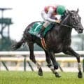 【東京JS想定騎手】ジューンベロシティは高田潤騎手、メイショウソムリエは大江原圭騎手