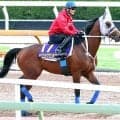 【宝塚記念】「俺も５７歳やけど、しんどいよ」と武豊騎手を称賛　連覇狙うメイショウタバル陣営はリラックスムード