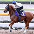 【宝塚記念】先輩ダービー馬の意地見せる！ダノンデサイルに好気配漂う　馬具の効果もあり大阪杯の逆転狙う