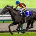史上初の春古馬三冠なるか クロワデュノールが褒賞金3億円狙う