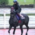【宝塚記念】ダービージョッキー松山弘平騎手と挑むジューンテイクが巻き返しへ　陣営「全部耐えてくれて、いい経験」