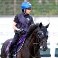 【宝塚記念】クロワデュノールが古馬Ｇ１春３冠の偉業達成へ　ファンの期待にも応え歴史的名馬の仲間入り果たす