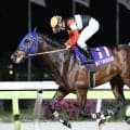 【東京ダービー】ダート二冠がかかるフィンガーは6枠12番