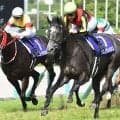 宝塚記念着差ランキングTOP5 1位は6馬身差の歴史的圧勝
