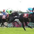 重賞３勝馬ラストインパクトが疝痛で死す　１６歳　ノーザンホースパークがＸで発表「治療を続けてまいりましたが…」