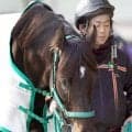 【クイーンエリザベス２世ジュビリーＳ】国内最終追い切りで力強い動き見せたルガルに陣営「だんだん良くなっています」