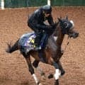 【注目馬動向】安田記念６着のオフトレイルは一戦使い、マイルＣＳを目標　吉村調教師「京都が楽しみになりましたね」