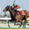 コスモキュランダ＆シュガークンにかかる史上初とは？ 宝塚記念で久々の美酒なるか