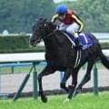 【宝塚記念予想オッズ】クロワデュノールが予想1番人気