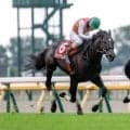 【東京JS予想オッズ】ジューンベロシティが予想1番人気