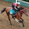 【今週のトク注新馬】“旬”のエフフォーリア産駒インカルナータが好仕上がり　西園調教師「楽しみです」