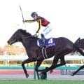 【宝塚記念・超ブル診断】安田記念で指名した伏兵がＶ　今週の狙いは複勝率５０％超のステップレースと外国人騎手へのスイッチ