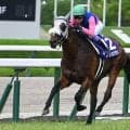 【宝塚記念展望】阪神巧者メイショウタバルが連覇に挑む