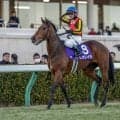 【宝塚記念】GIウイナー豪華3頭出し サンデーレーシングが5年ぶりのGIワンツースリーなるか