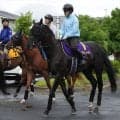 【宝塚記念】クロワデュノール最終追いで春古馬３冠へ復調気配見えた！　斉藤崇調教師「これで走れるところまで…」