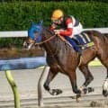 【大井・東京ダービー注目馬】ダートの3歳王者決定戦 フィンガーの二冠か、他馬の台頭か