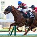 【函館スプリントS】レース史上最高齢Vなるか 衰え知らずの9歳ウイングレイテストが参戦