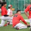 広島・林晃汰が１軍合流　ファームでは打率・３２５の好成績