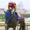 【注目馬動向】オークス３着のラフターラインズが左前脚を骨折　エリザベス女王杯を目標　サンデーサラブレッドクラブ発表
