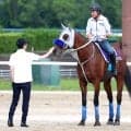 【宝塚記念】武豊騎手が出待ち＆鼻面ナデナデ！メイショウタバルが豪快にラスト１０秒９　石橋調教師「抜群の動き」