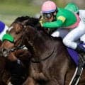 宝塚記念登録馬の香港馬名を紹介 「高野俊士」や「甜蜜時刻」など18頭