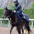 【東京ダービー】ロックターミガンは４着　羽田盃２着からの雪辱ならず　フィンガーが逃げ切り、２冠達成