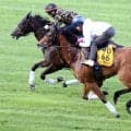 【函館スプリントＳ】快速牝馬ピューロマジックは馬なりで併入　北村友一騎手「並びかけてゴールするという指示」