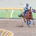 【宝塚記念】連覇を狙うメイショウタバル、持ったままラスト１０秒９　先週最年長Ｇ１制覇を達成した武豊騎手も“出待ち”でねぎらい