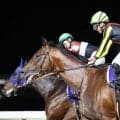 【東京ダービー】岩田望来「1番強い競馬」 シルバーレシオ惜しくも2着、秋へ期待…レース後ジョッキーコメント