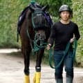 【注目馬動向】セイウンハーデスは放牧を挟んで毎日王冠へ　その後は天皇賞・秋を視野に