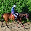 ９８年タイキシャトル以来、日本馬２８年ぶりのＶへ　ジャックルマロワ賞に日本馬４頭が登録　エンブロイダリー、シックスペンスなど