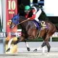 【東京ダービー】「僕の出身の大井で勝つことができて、とても感慨深く思っています」戸崎圭太騎手、強気の騎乗で逃走！フィンガー２冠