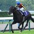 【宝塚記念枠順確定】クロワデュノールは3枠5番、メイショウタバルは8枠16番
