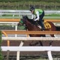 テレサなど、府中牝馬S1週前追い切り速報/栗東トレセンニュース