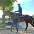 【宝塚記念】春古馬３冠を目指すクロワデュノールは３枠５番　連覇がかかる武豊騎手メイショウタバルは８枠１６番に決定