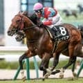 【函館スプリントS出走馬・騎手確定】レイピア＆横山武史騎手、インビンシブルパパ＆佐々木大輔騎手など13頭