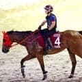 スプリント王国・香港の実力馬　ファストネットワークがセントウルＳとスプリンターズＳに登録