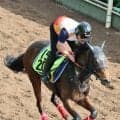 【ＰＯＧ】姉はダートＯＰ馬のデリカダ　バミューダブーケも砂上で初陣　杉山佳調教師「整ったかなと思います」