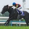 【宝塚記念・調教後馬体重】クロワデュノールは516kg、ミュージアムマイルは510kg
