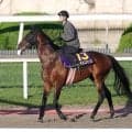 【宝塚記念】１５番枠に決まった日経賞勝ち馬マイユニバースは心身両面で充実　武幸調教師「何の不安もないです」