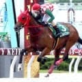 【大井競馬】高橋清顕厩舎所属馬が２歳戦を２勝　好素材ムソルグスキーは新馬戦快勝「能力試験の動きから走るだろうとは思っていたし完成度も高い」