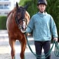 【宝塚記念】２８年ぶり参戦　宮調教師がタガノデュードとシェイクユアハートの２頭出し「どこまで食らいつけるか」