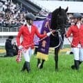 【宝塚記念過去10回傾向】ファン投票1位馬の成績は クロワデュノールにかかる36万6039票の期待