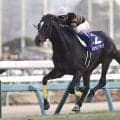 「ウマ娘」藤田晋オーナーの2.4億円馬 ダイナマイクが川田騎手で初陣V狙う