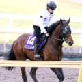 【Ｇ１トク捜リレー】異例の木曜栗東入り　美浦・浅子記者注目のミクニインスパイアが４番枠から驚かせる　宝塚記念