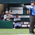 【阪神】日本シリーズからソフトバンクに７連敗　３連戦で10被弾　交流戦勝ち越し消滅