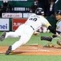 【阪神】また微妙判定に泣く　退場一夜明けの藤川監督がまたリクエスト要求も…勝ち越し点許す