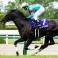 グローリーヴェイズ産駒のJRAデビュー第1号 ソウカイウォーリアに要注目だ
