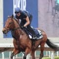 ザライオンインウィンターが調教中の骨折で安楽死　日本馬と何度も対決した名マイラー「どうか安らかに」「ショック」